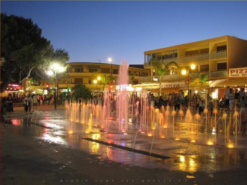 183 D25 BORMES LES MIMOSAS 3_000010.jpg